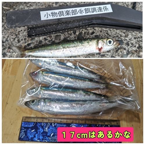 親水広場