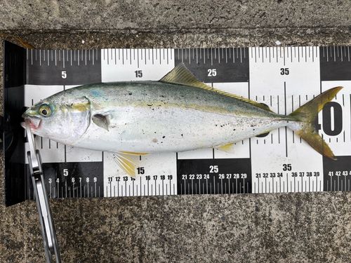 三陸海岸（岩手）