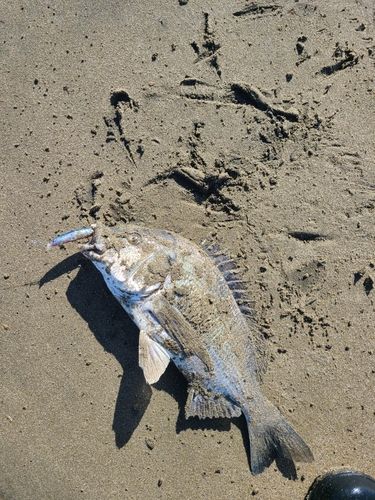 十三湖