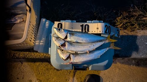 中浜名湖