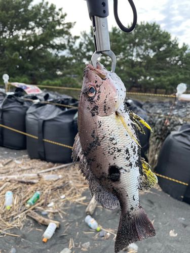 三保