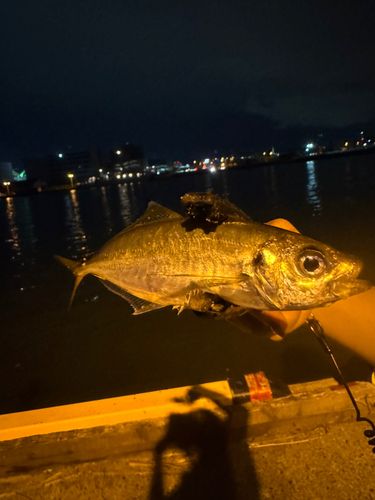 博多湾