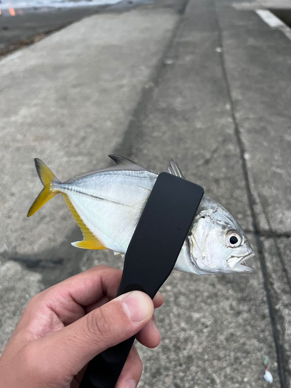 メッキ