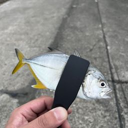 メッキ