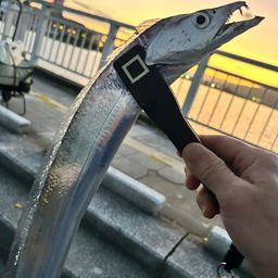 タチウオ