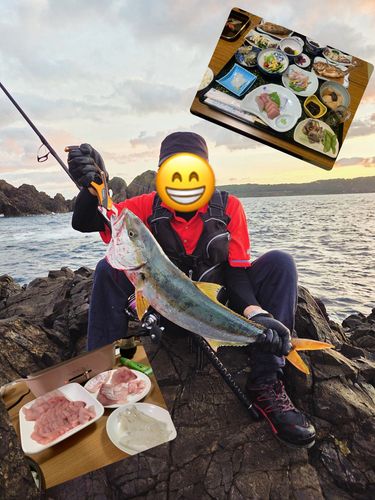 ヒラマサの釣果