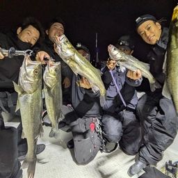 シーバス
