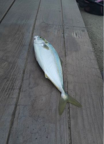 海辺つり公園