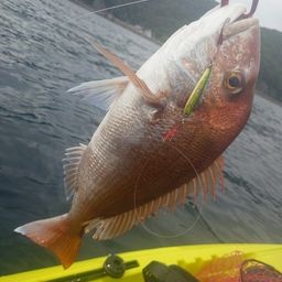 タイ
