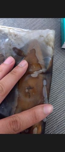 若狭湾