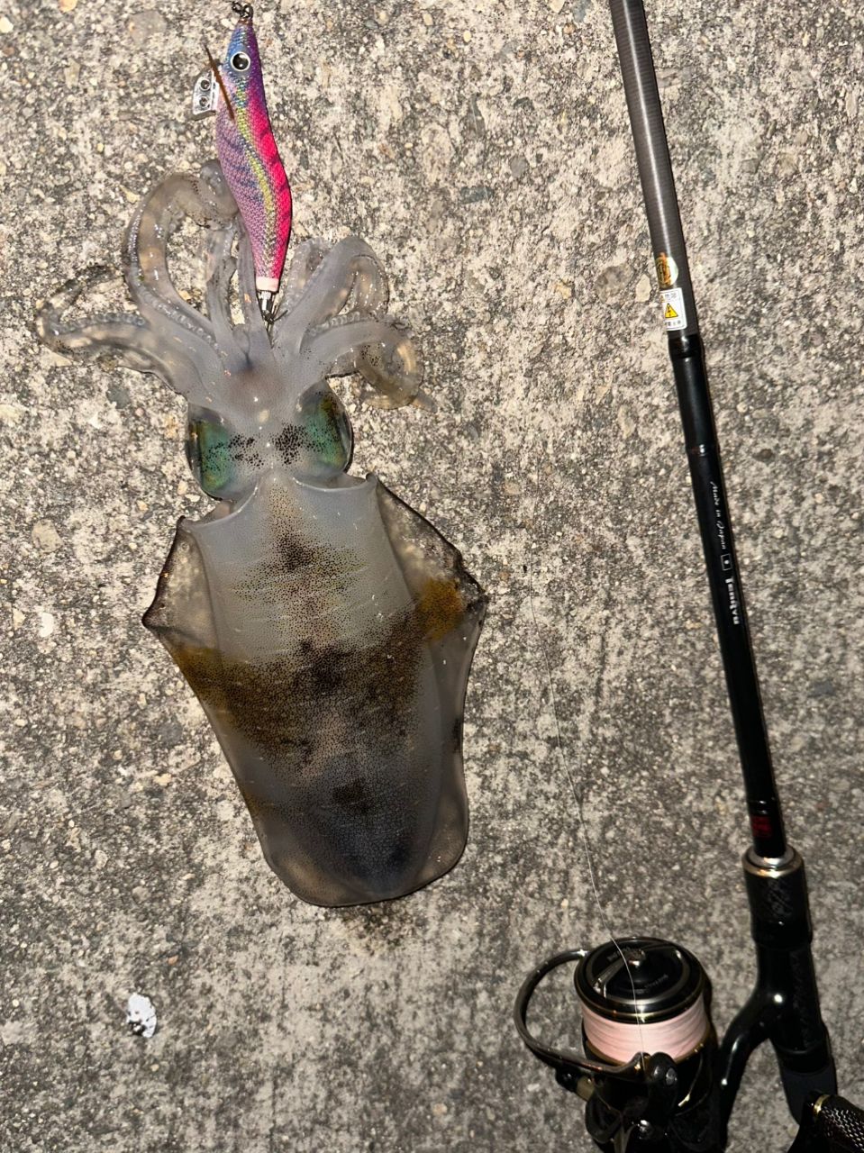 DAIWA 21ルビアス エアリティ FC LT2500S-XH-QDの最安値