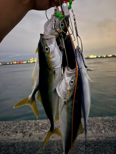 表浜名湖