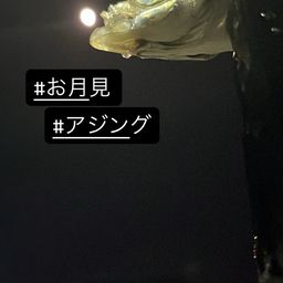 マアジ