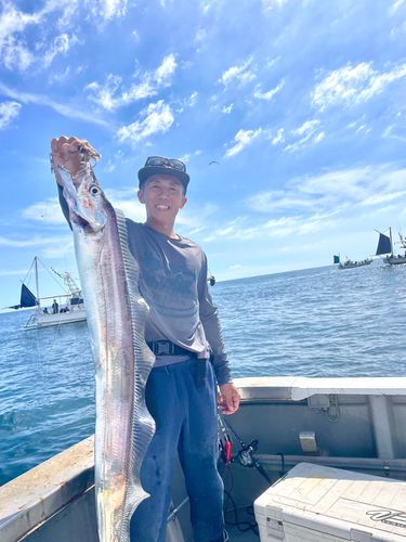 タチウオの釣果