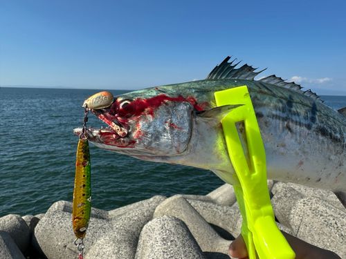 貝塚人工島