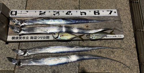 海辺つり公園