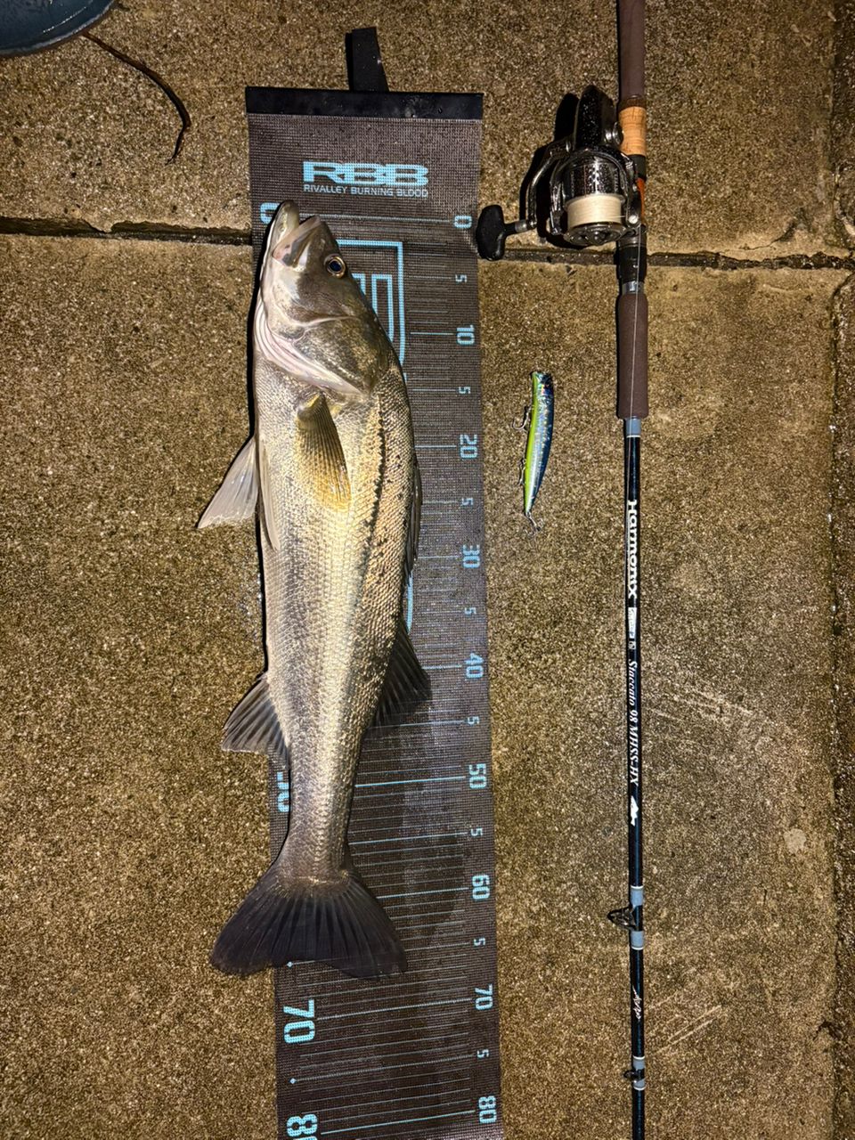 TULALA ハーモニクス スタッカート 98MHSS-HXの最安値・インプレ