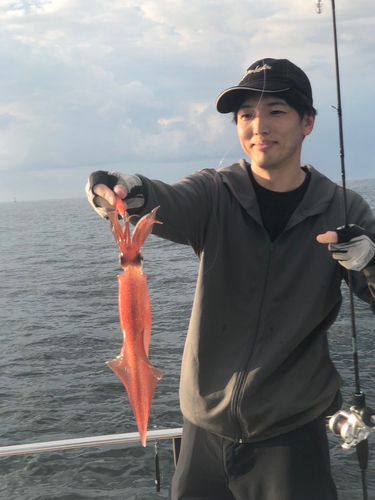 ケンサキイカの釣果
