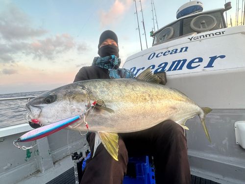 ヒラマサの釣果