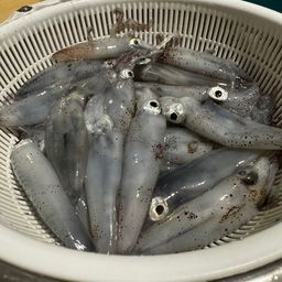 マメイカ