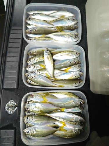 五ヶ所湾