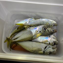 アジ