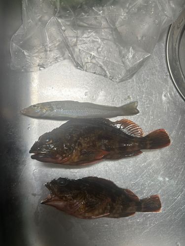 片瀬漁港