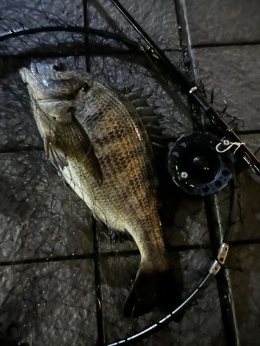有明西ふ頭公園