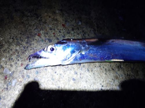 海辺つり公園
