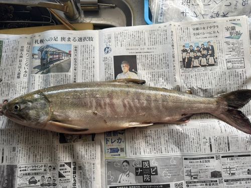 噴火湾