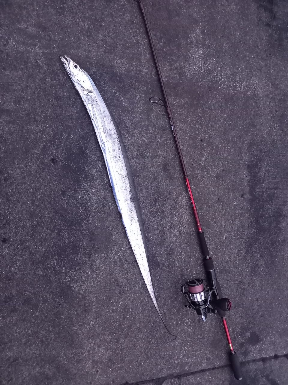 DAIWA 13ハートランド AGS 772MFS-SV AGS17の最安値・インプレ