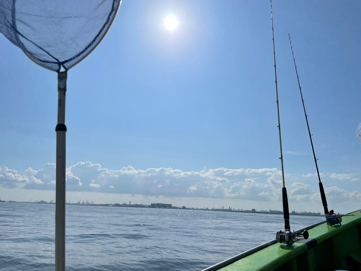 アイコンチキンさんの釣果 2枚目の画像