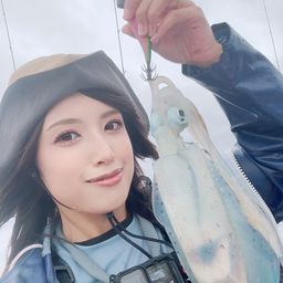 アオリイカ