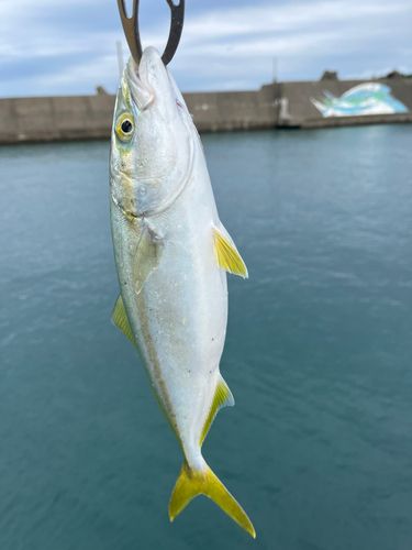 梅浦漁港
