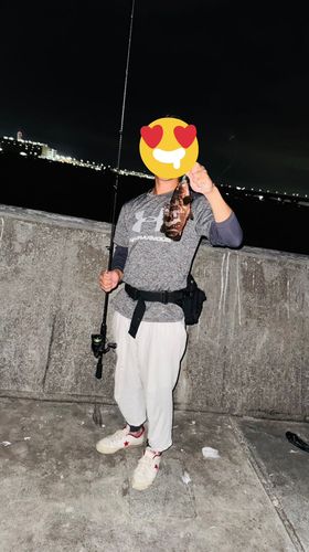 常滑りんくう釣り護岸