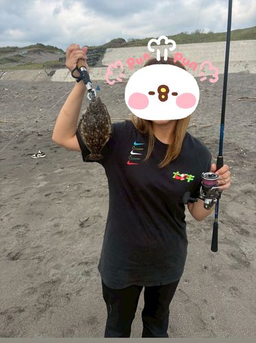 ソゲの釣果