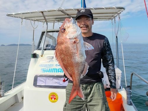 マダイの釣果