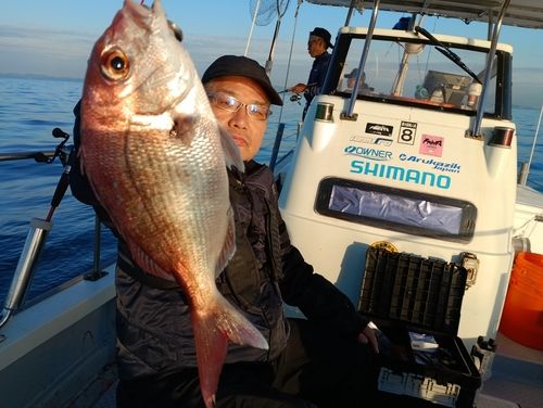 マダイの釣果