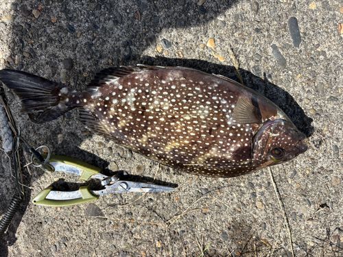 表浜名湖