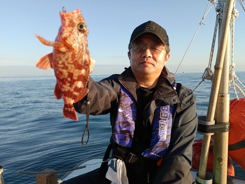 ガシラの釣果