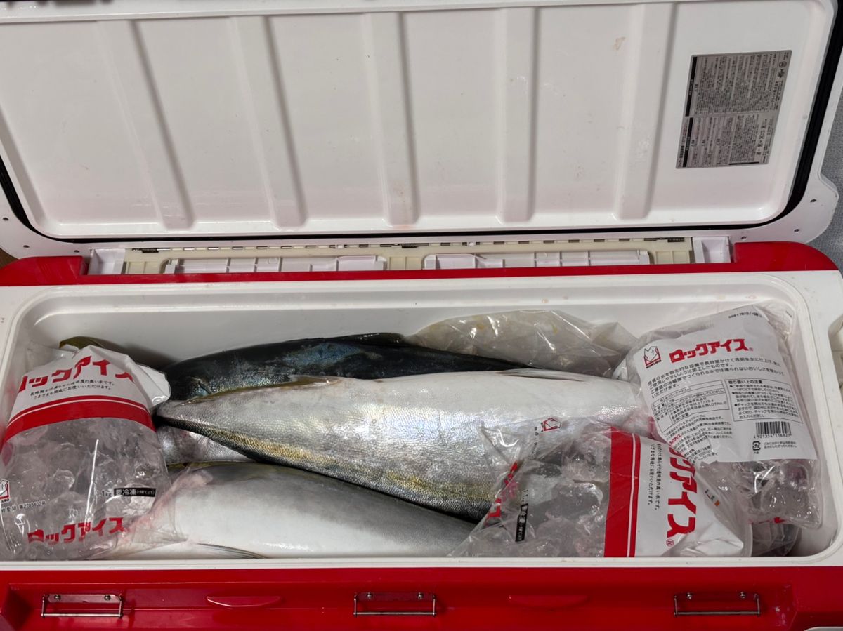 あや🐟さんの釣果 3枚目の画像