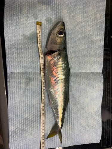石狩湾新港
