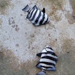 サンバソウ