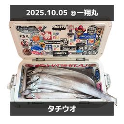 タチウオ