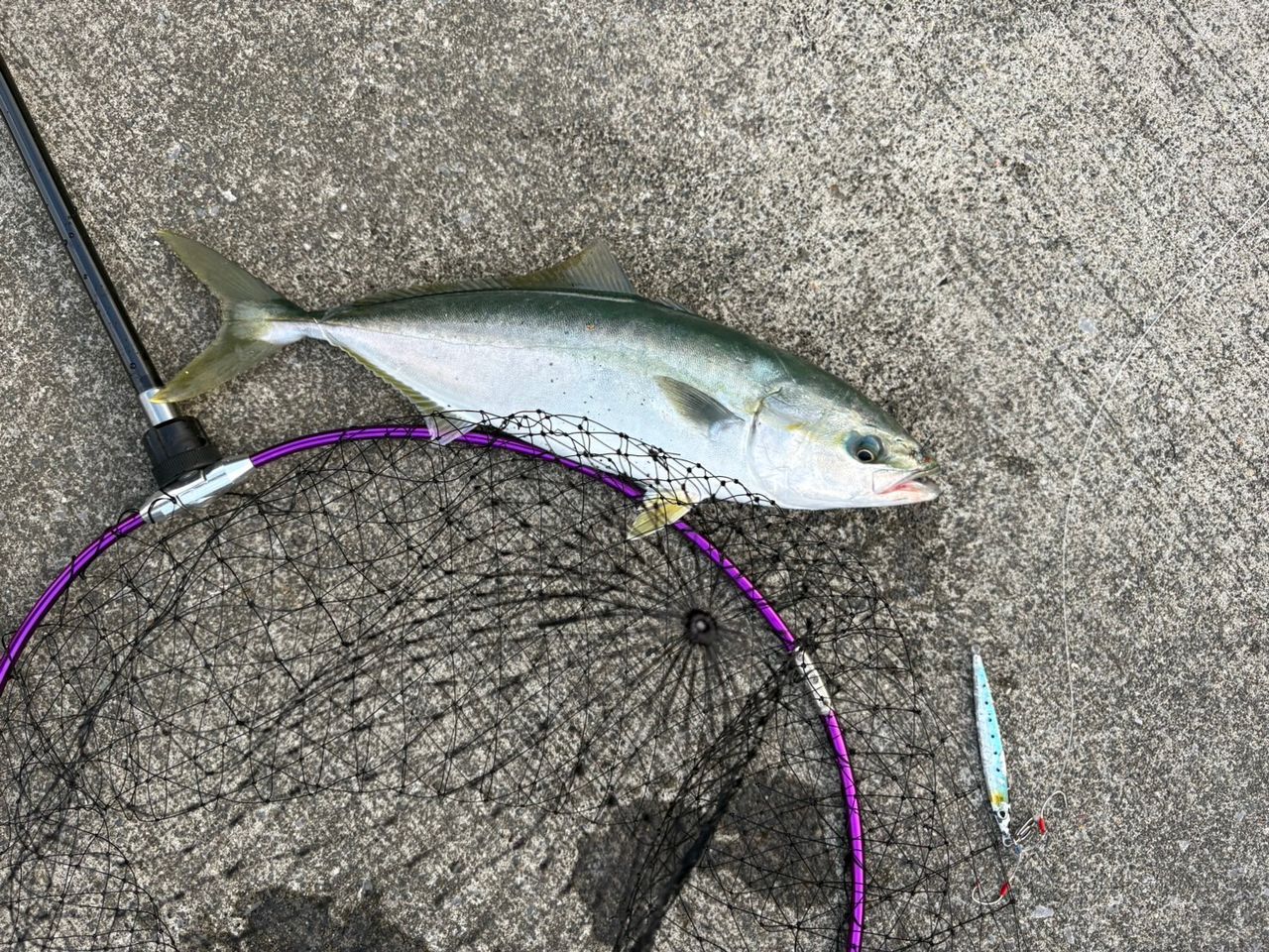 ロッド JACKALL BRS-S100MLMH-BURI CUSTOM ジャッカル】 BRS BRS-S100MLMH ブリカスタム JACKALL BRS BURI