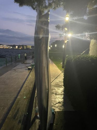 海辺つり公園