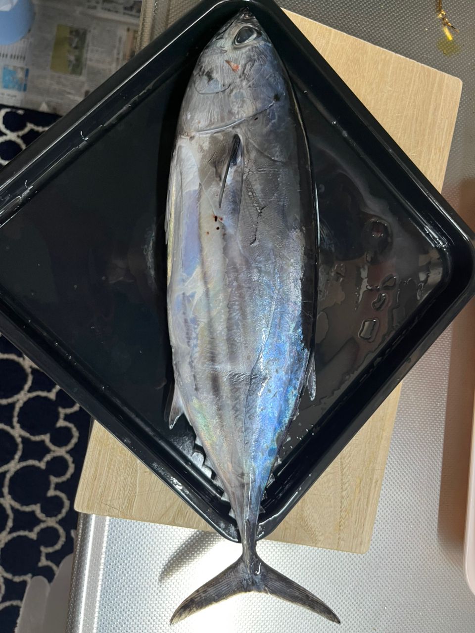カツオ