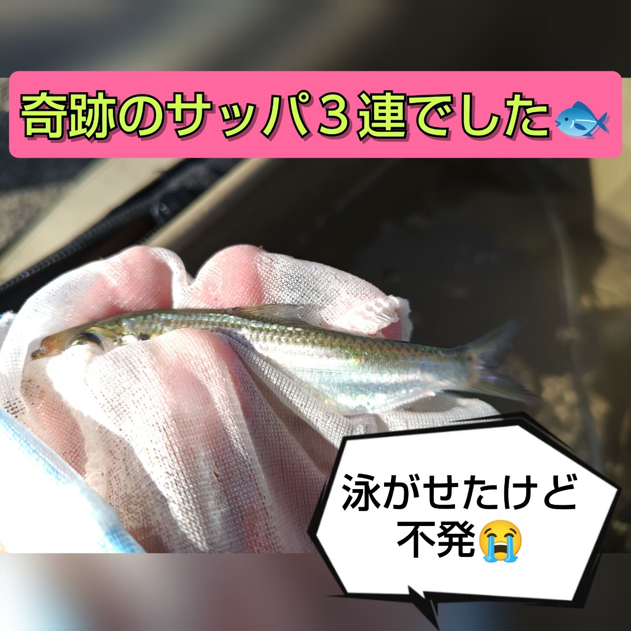 サッパ
