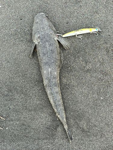 平砂浦海岸
