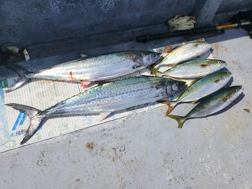 伊勢湾